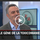 gene toxicomanie