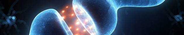 banner2